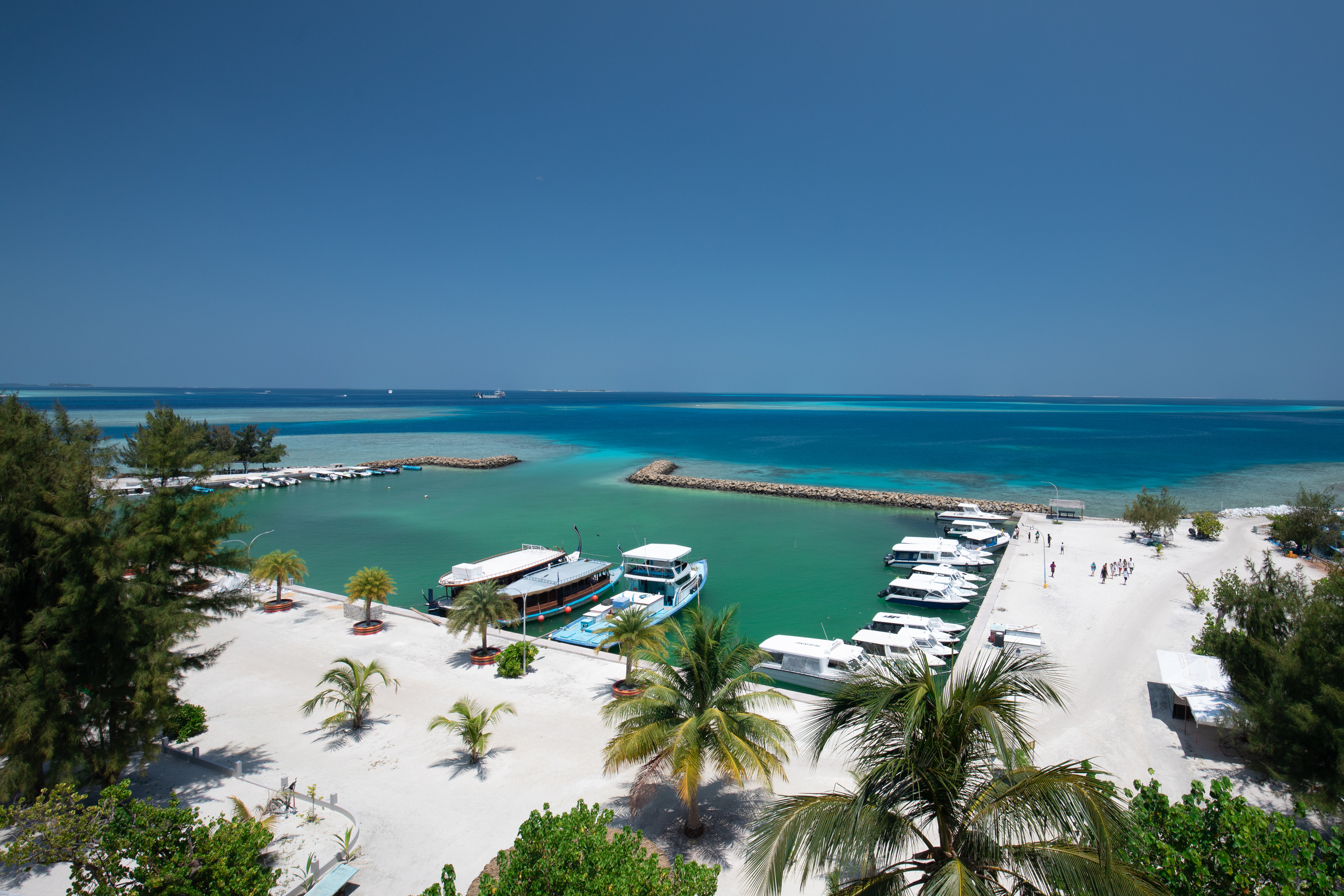 Harbor View
