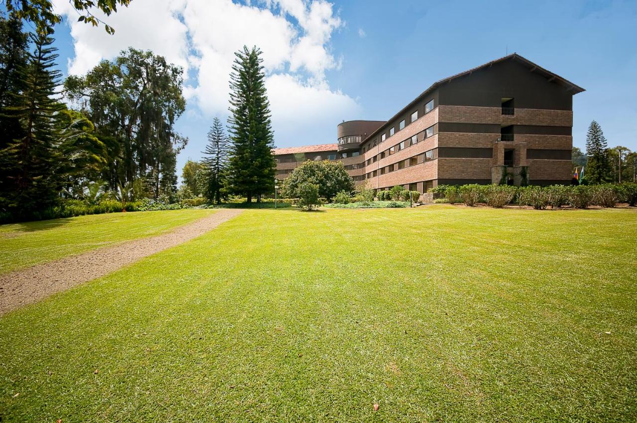 Movich Hotel Las Lomas
