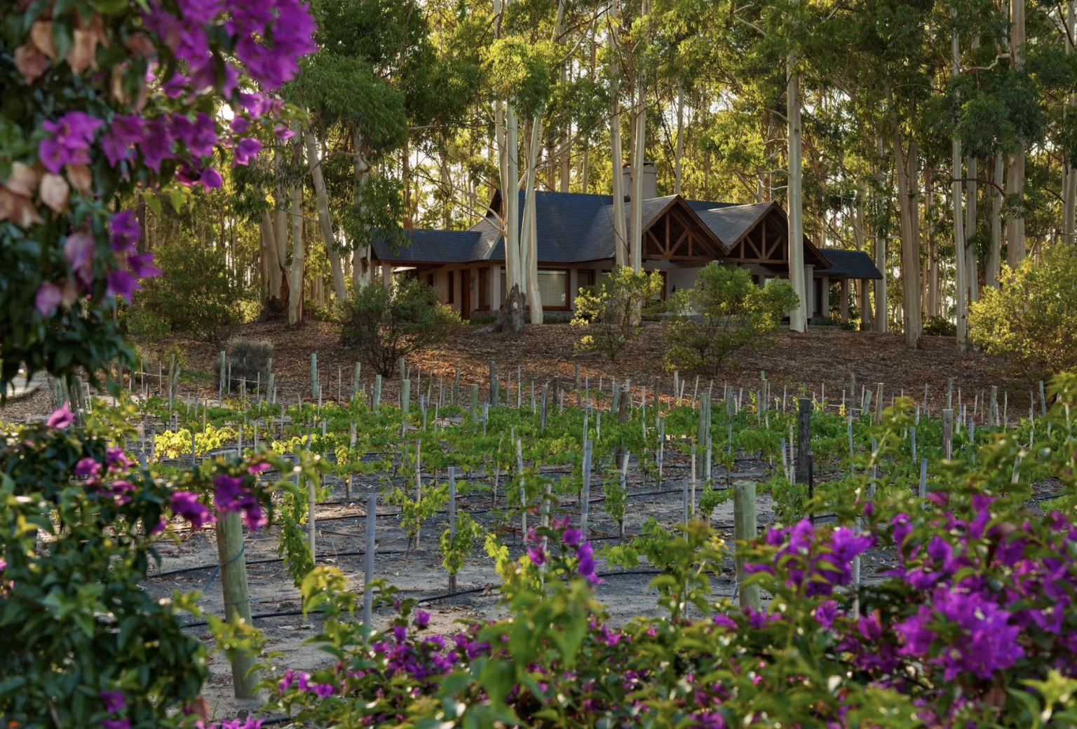 Carmelo Resort & Spa