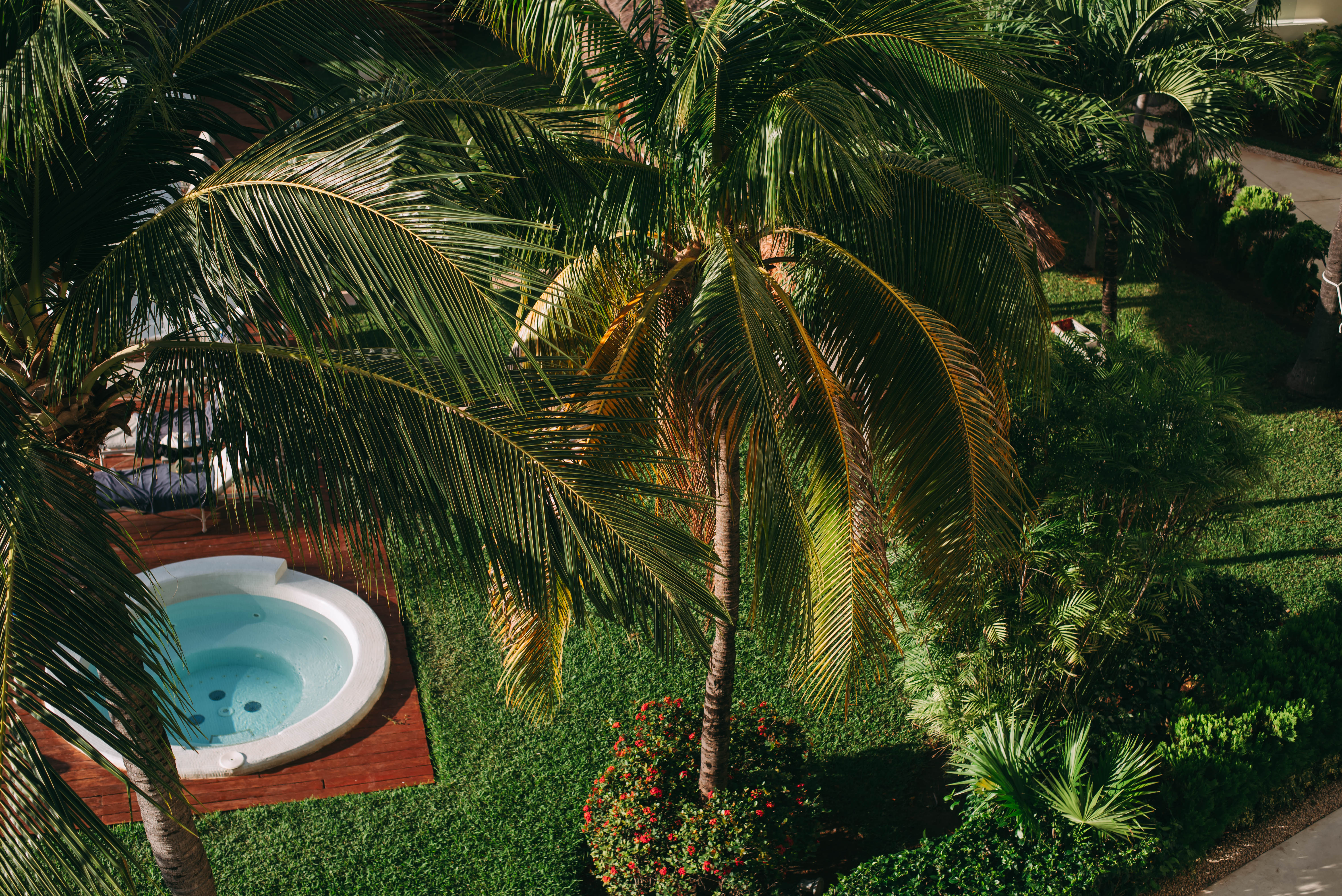 Hotel view