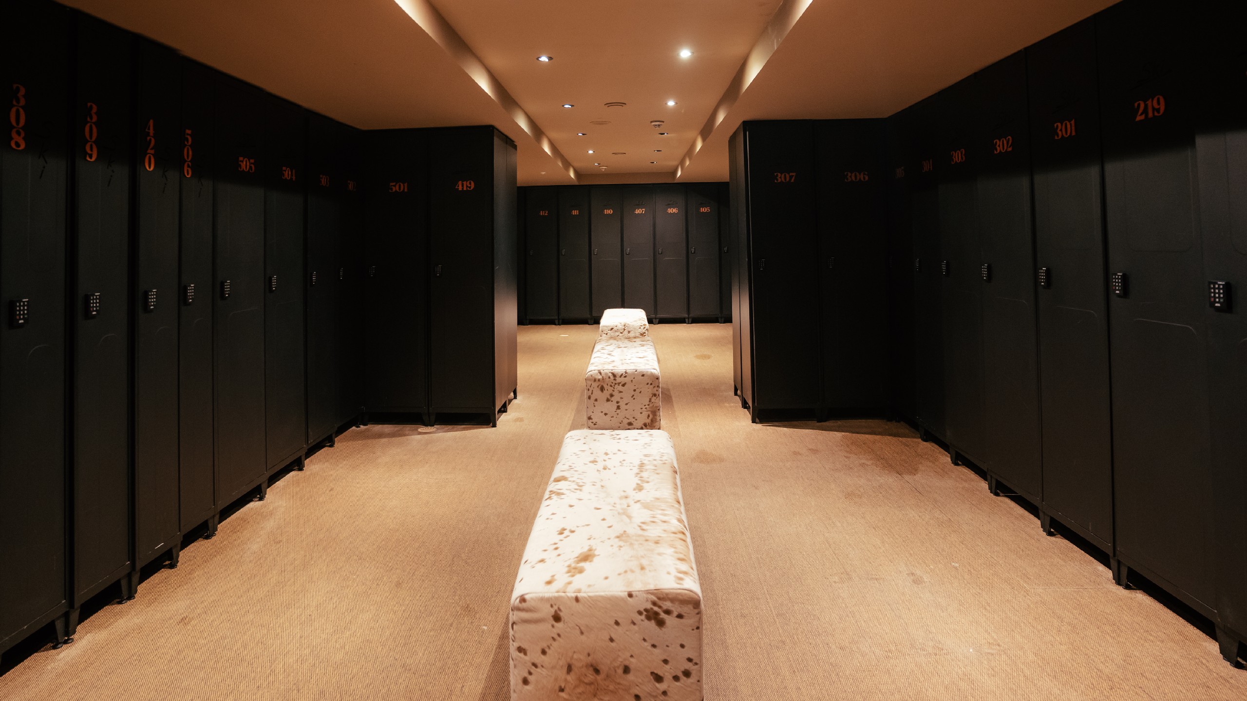Ski Locker